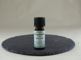 Thymian