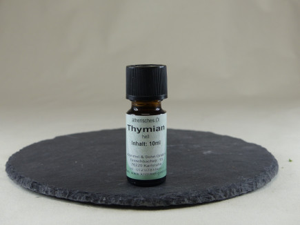 Thymian
